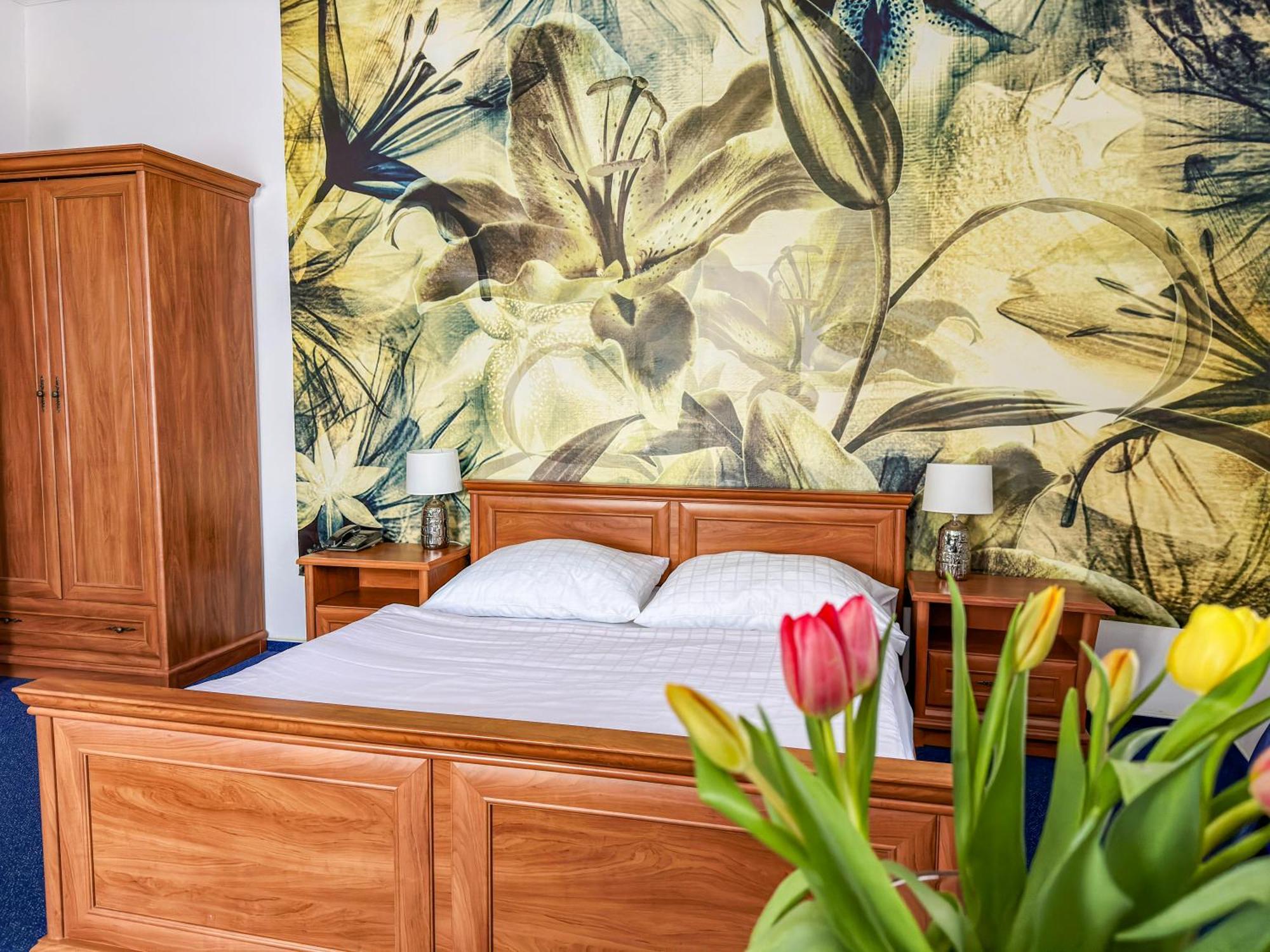 Hotel Ruzek Hranice  Extérieur photo