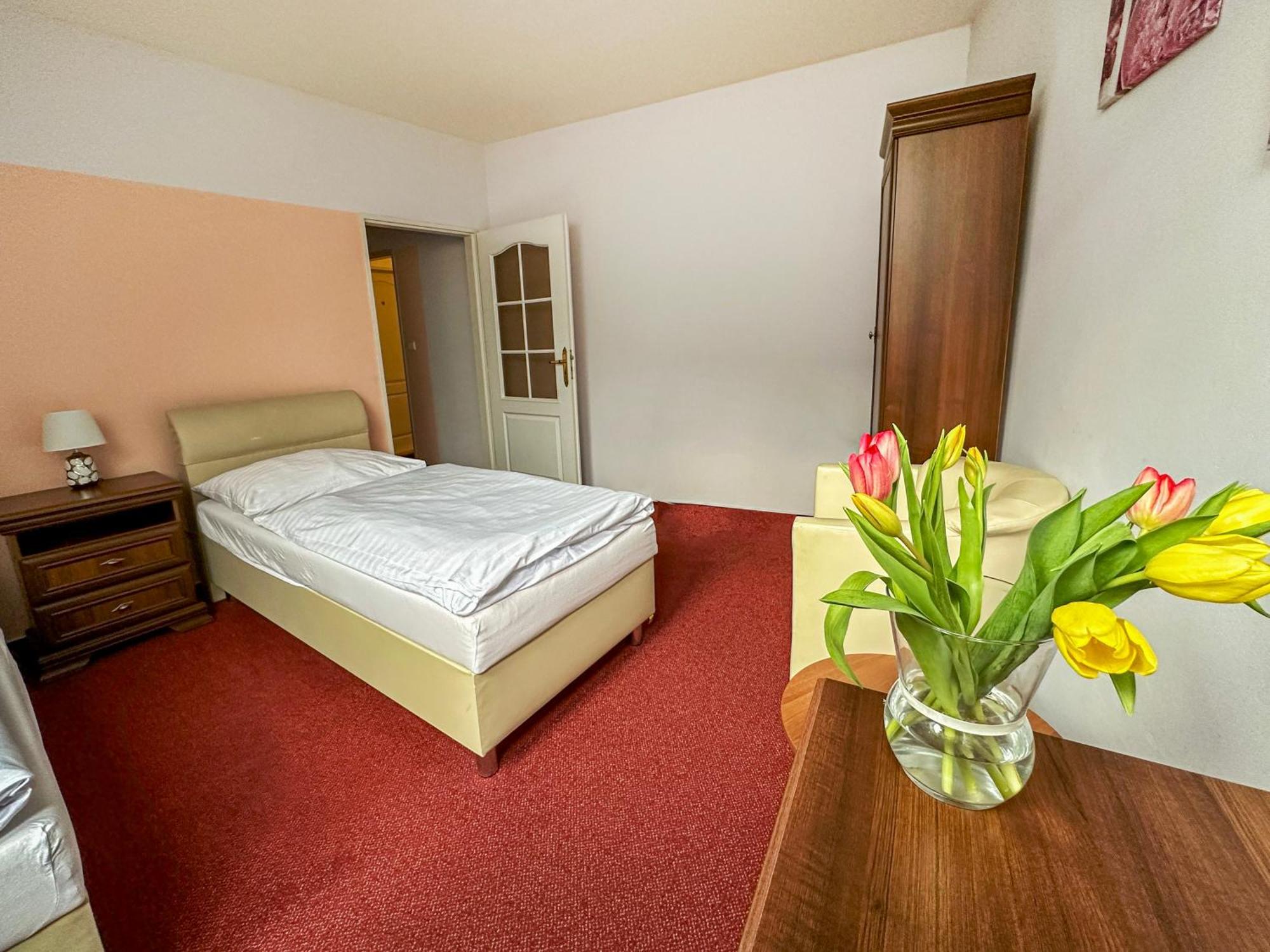 Hotel Ruzek Hranice  Extérieur photo