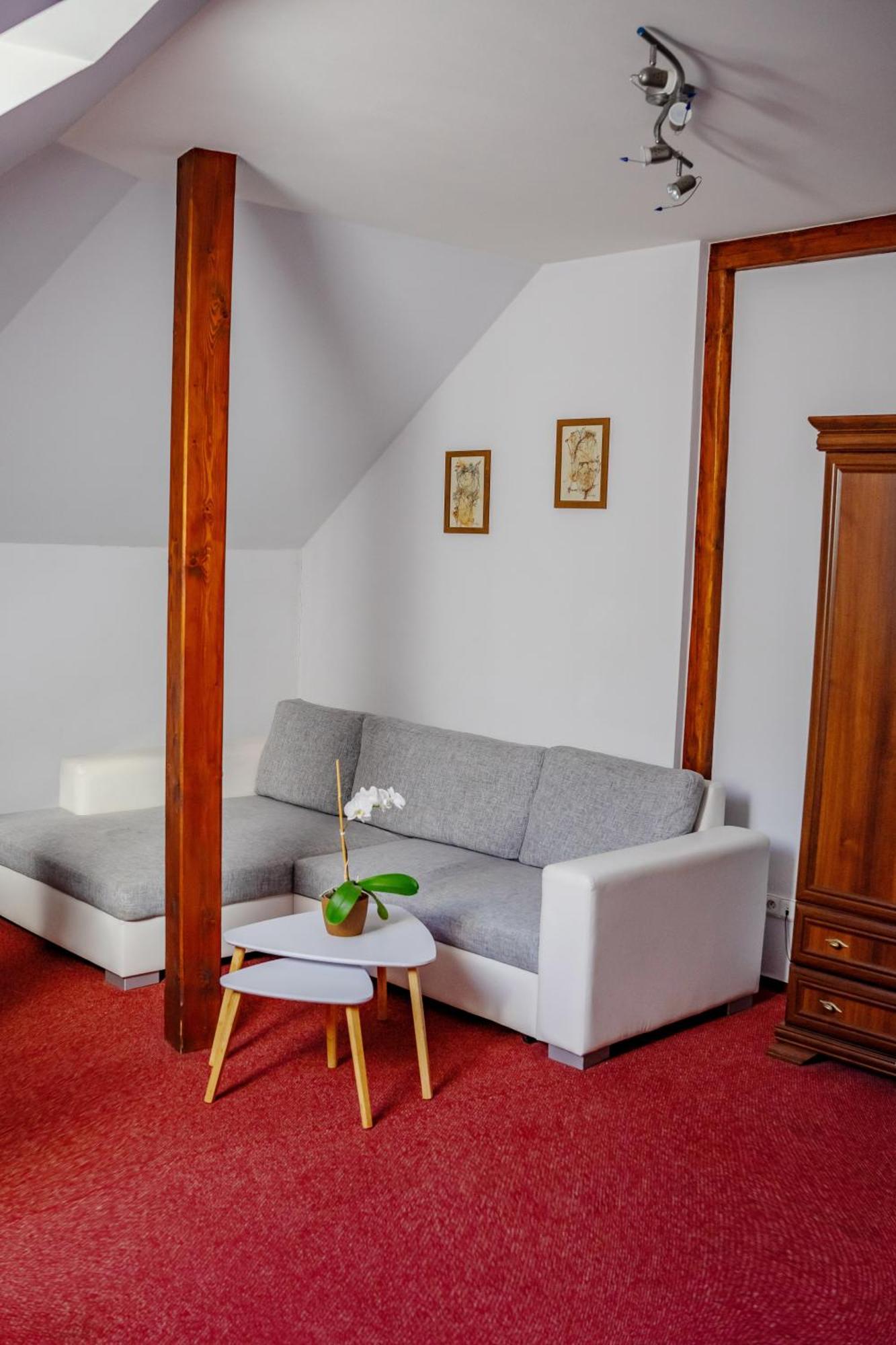 Hotel Ruzek Hranice  Extérieur photo