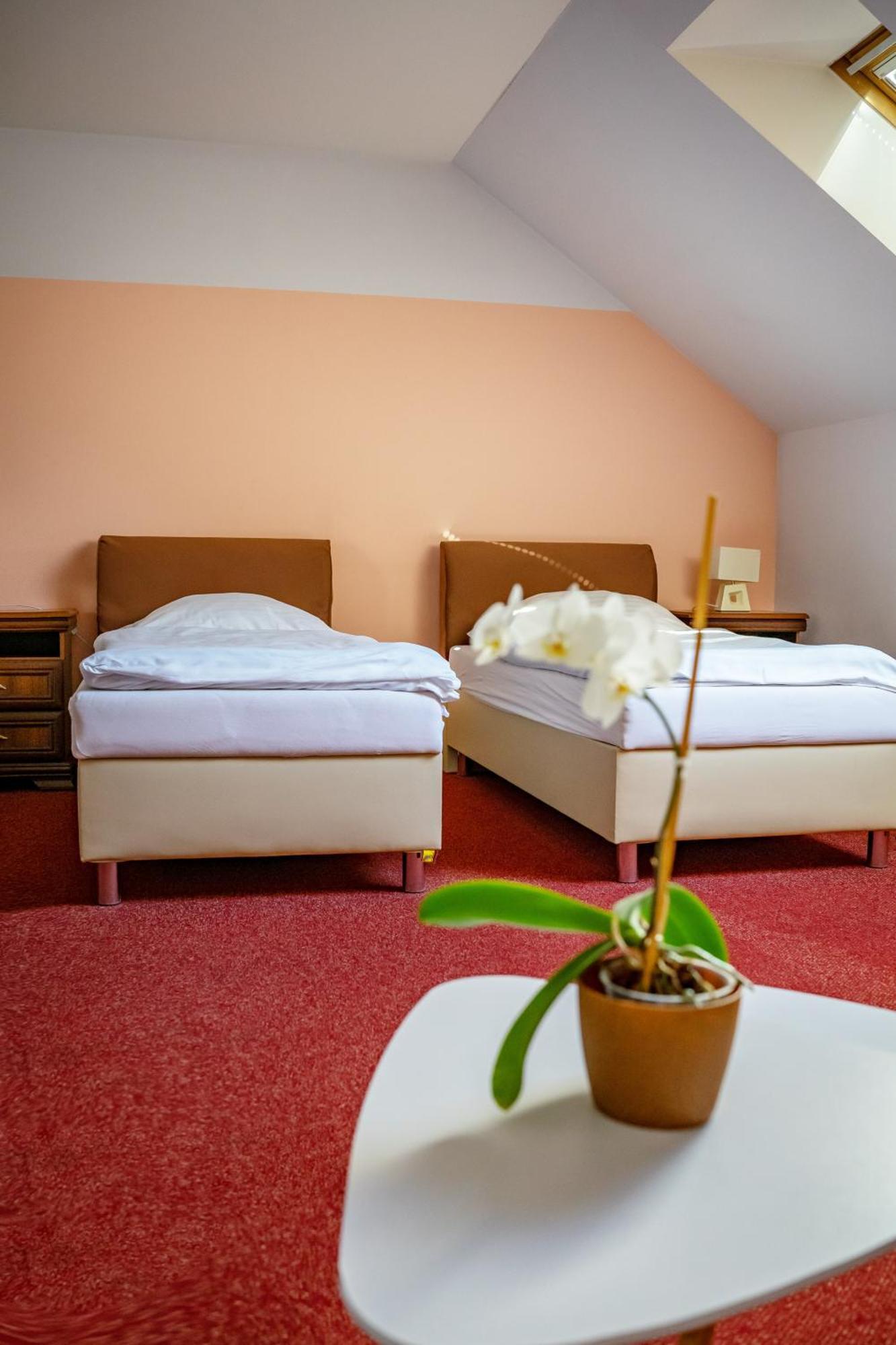 Hotel Ruzek Hranice  Extérieur photo