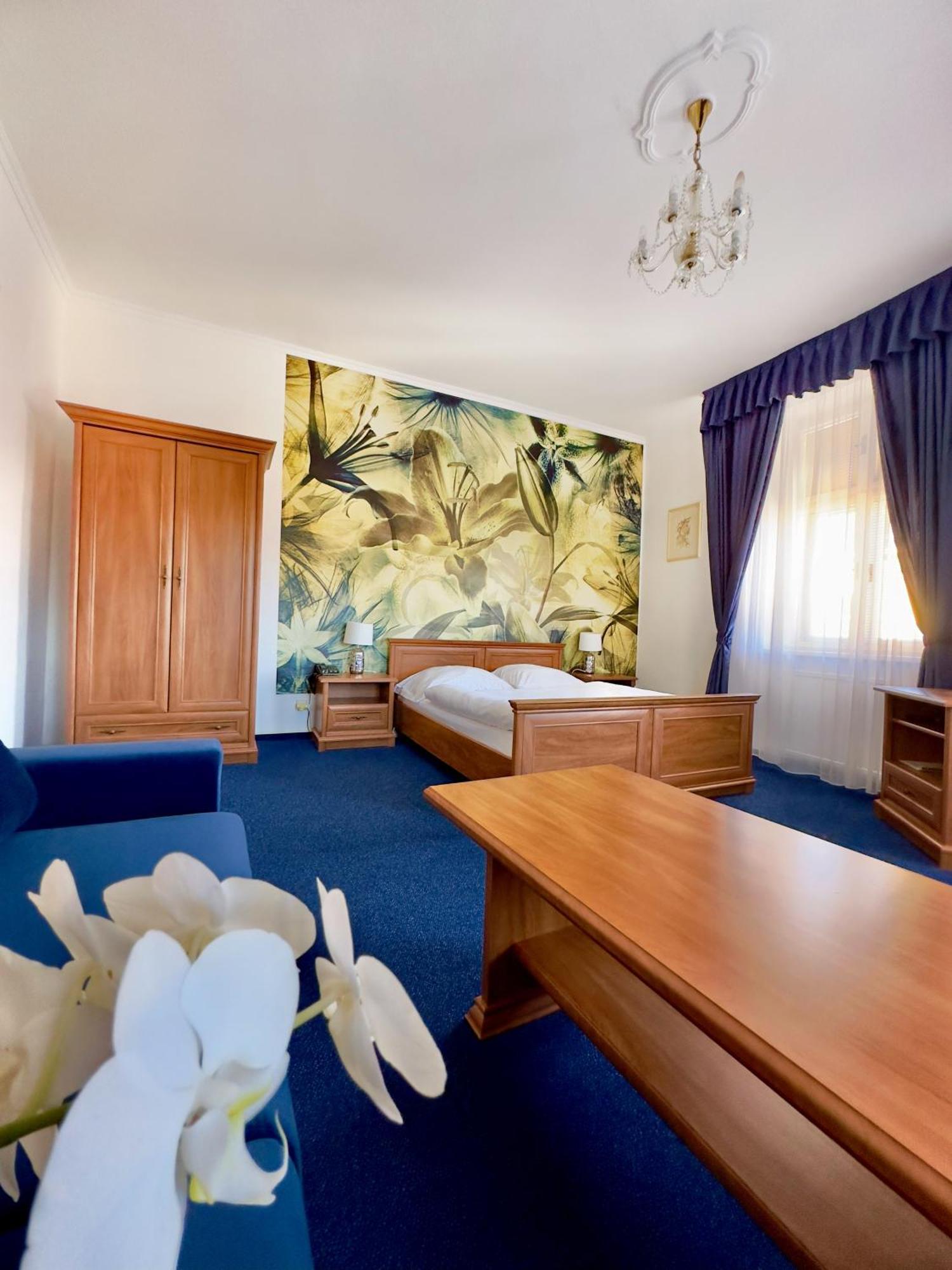 Hotel Ruzek Hranice  Extérieur photo
